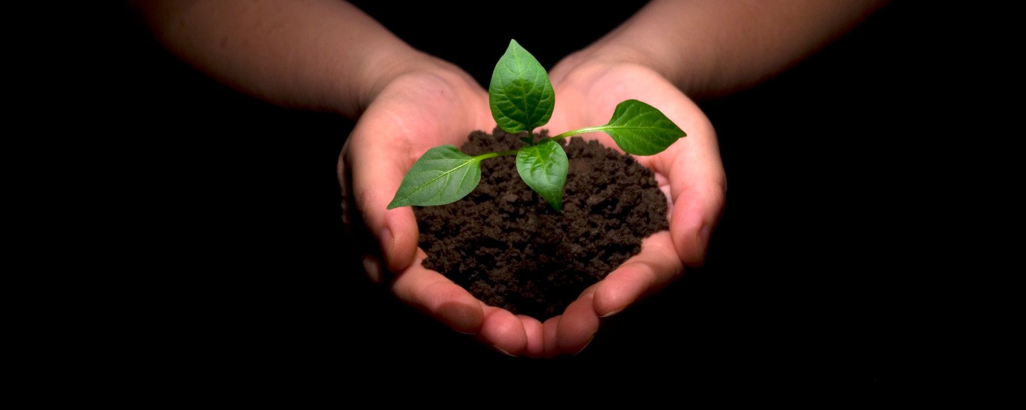 Angehörige absichern, Erbschaftssteuer sparen Angehörige absichern, Erbschaftssteuer sparen